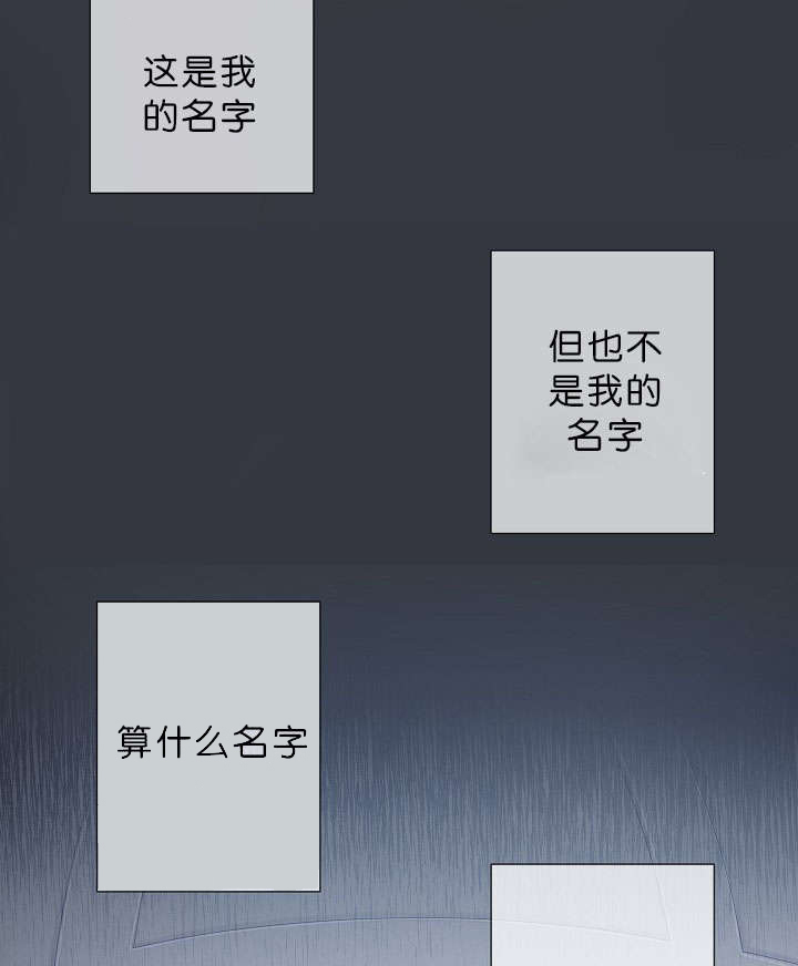 第17话：第17章：项目取消预览分镜
