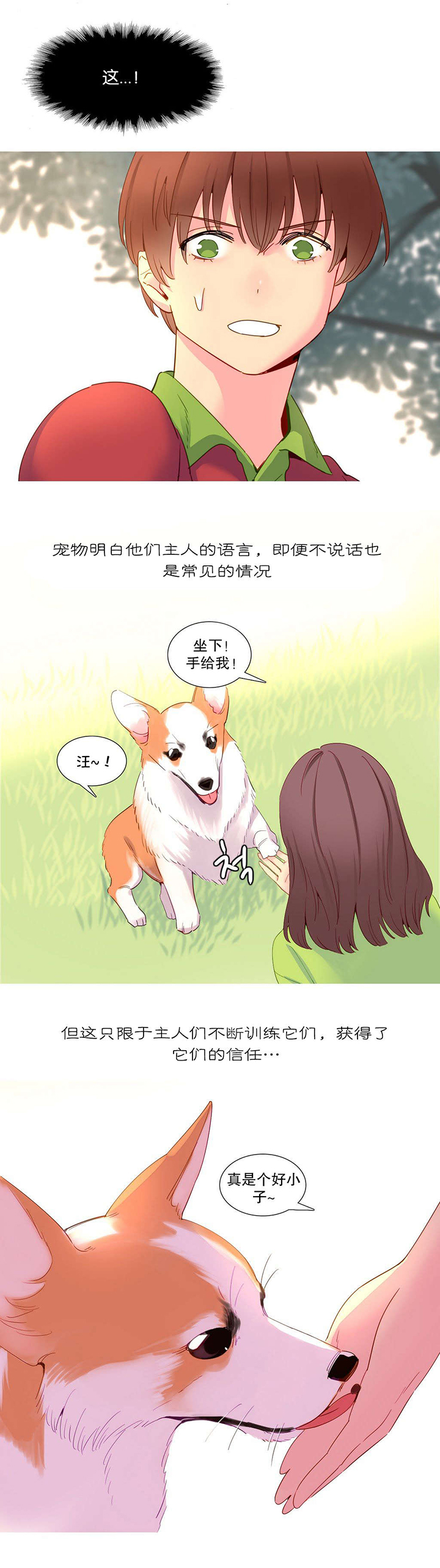 第15话：第15章：理解预览分镜