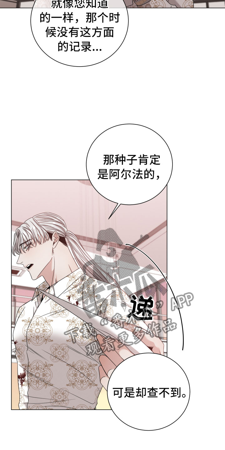 第13话：报告预览分镜