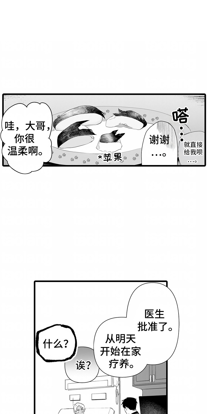 第4话：第4章：照顾预览分镜
