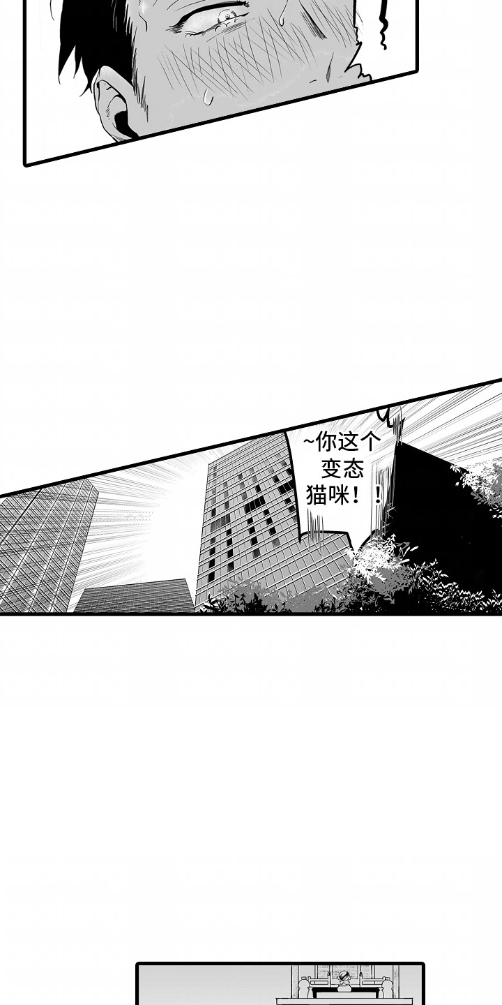 第7话：第7章：期待预览分镜