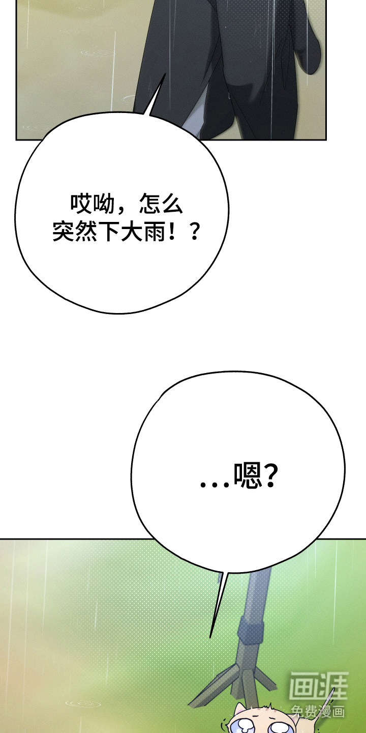 第12话：第12章：猫咪预览分镜