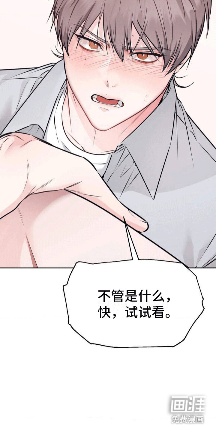 第4话：第4章：挑衅谁呢预览分镜