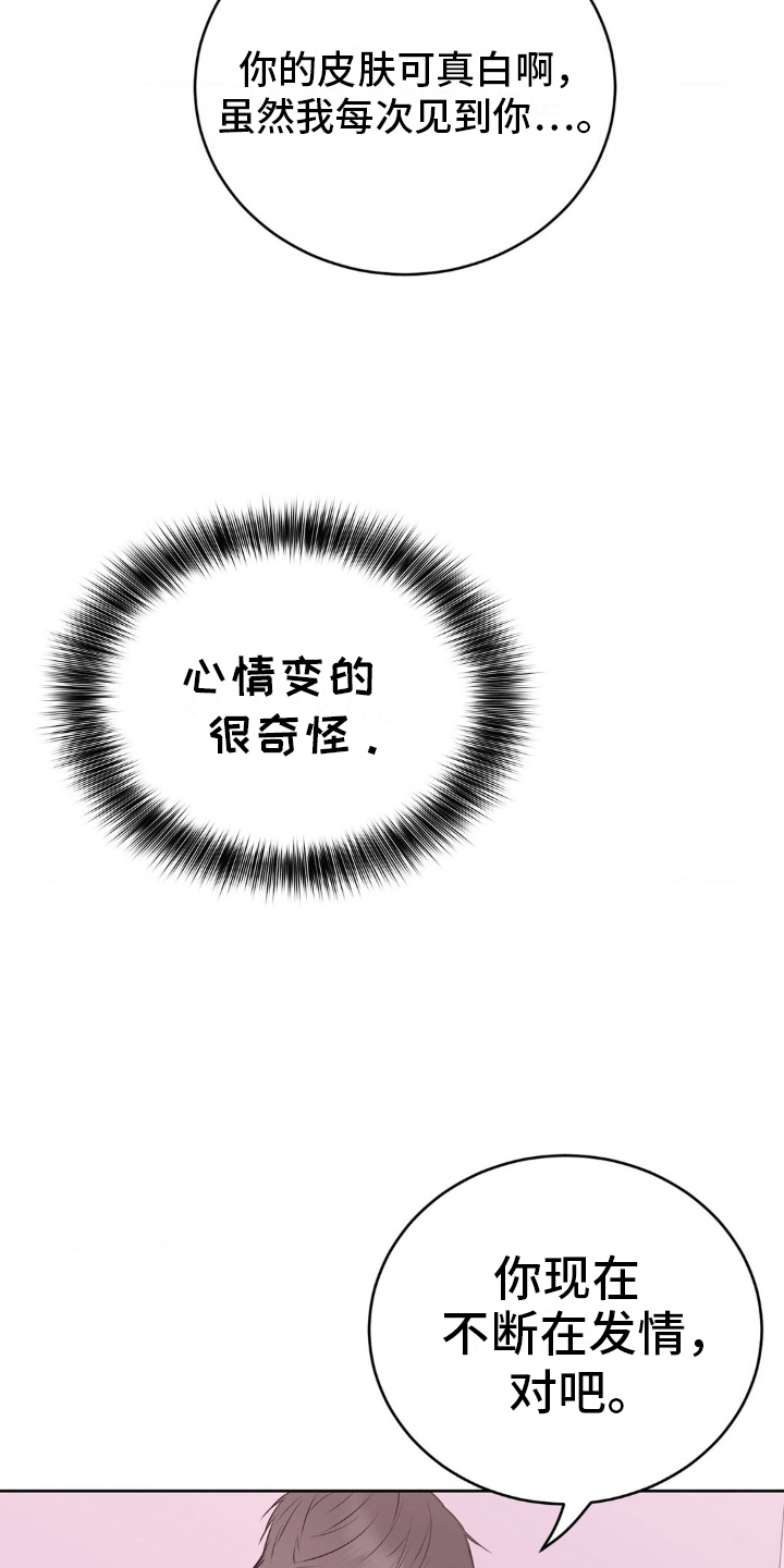 第5话：第5章：诚实预览分镜