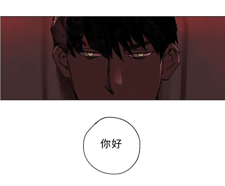第37章:大结局