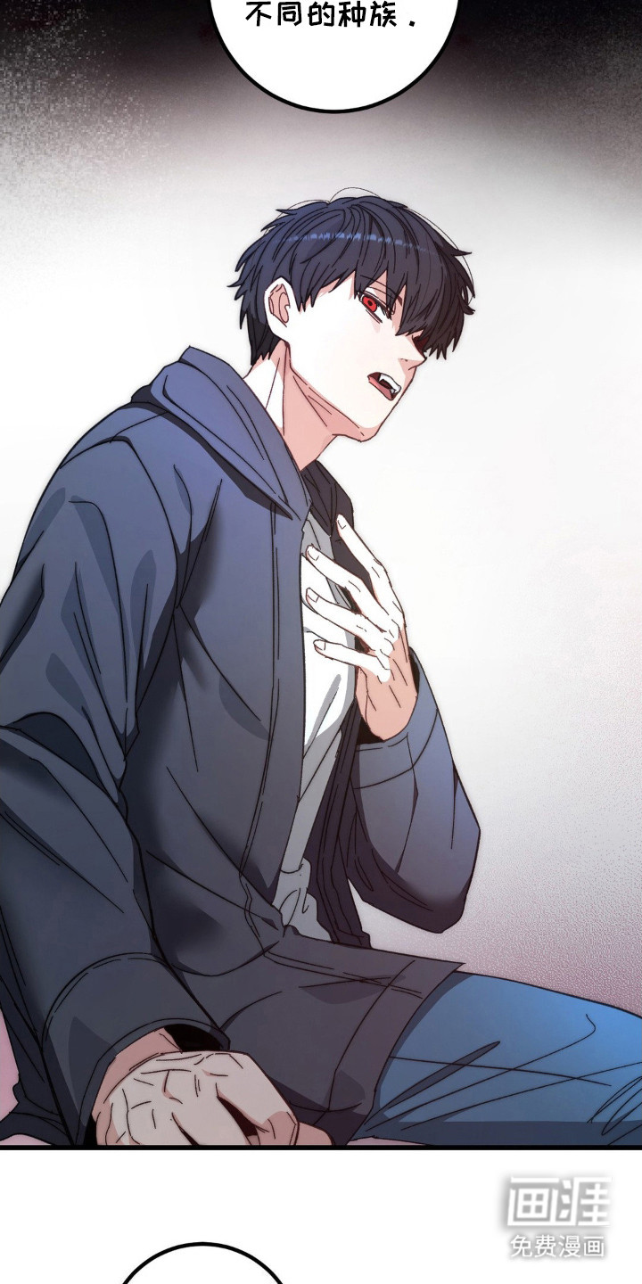 第5话：第5章：无法挽回预览分镜