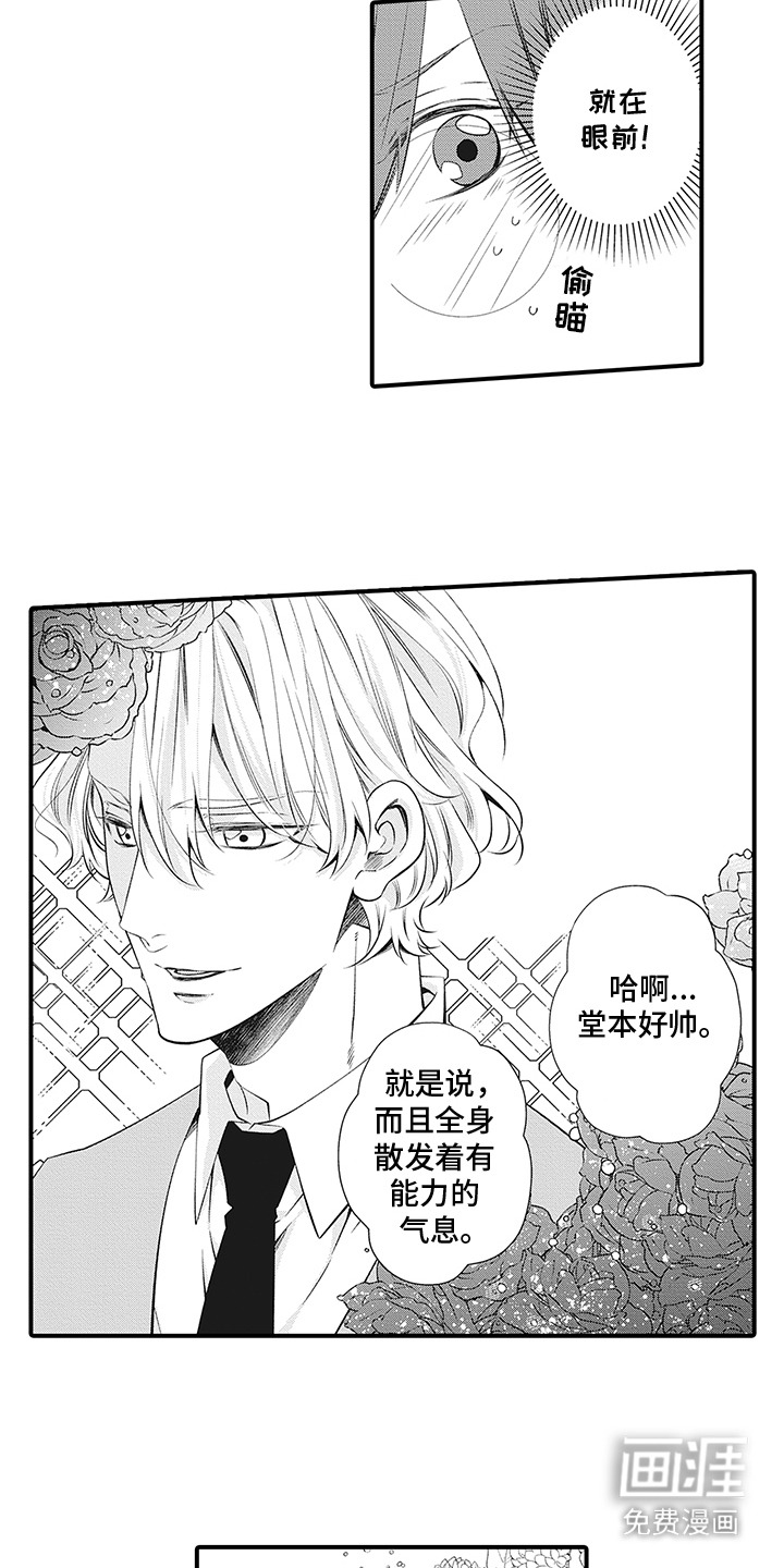 第5话：第5章：对视预览分镜