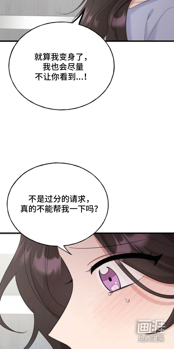 第13话：第13章：提议预览分镜