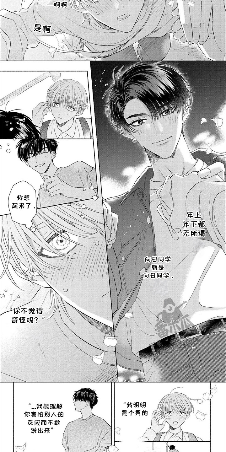 第5话：第5章：喜欢预览分镜