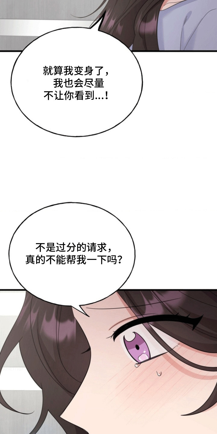 第13话：第13章：提议预览分镜