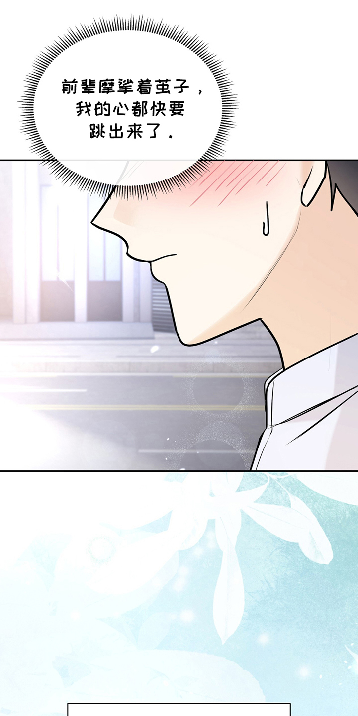 第16话：第16章：包揽预览分镜