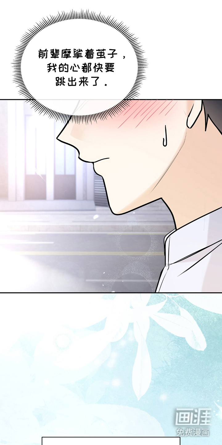第16话：第16章：包揽预览分镜