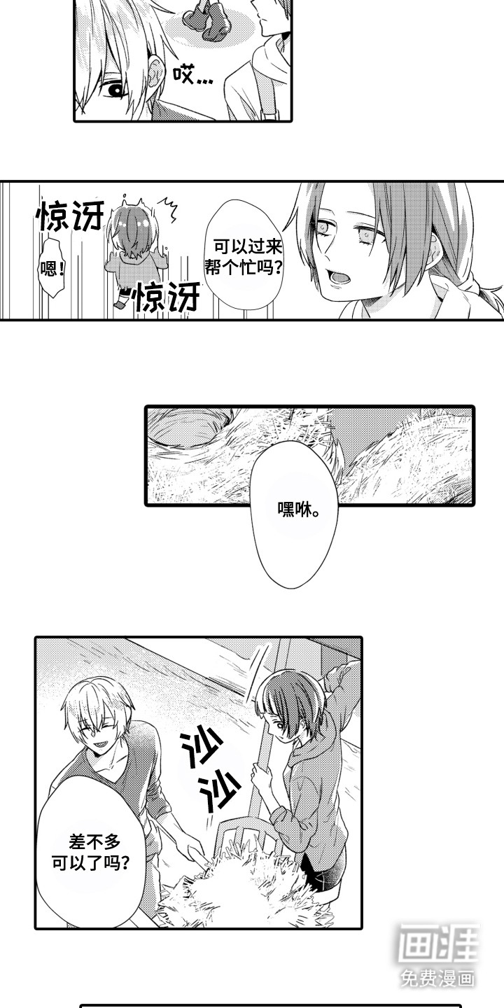 第3话：第3章：相册预览分镜