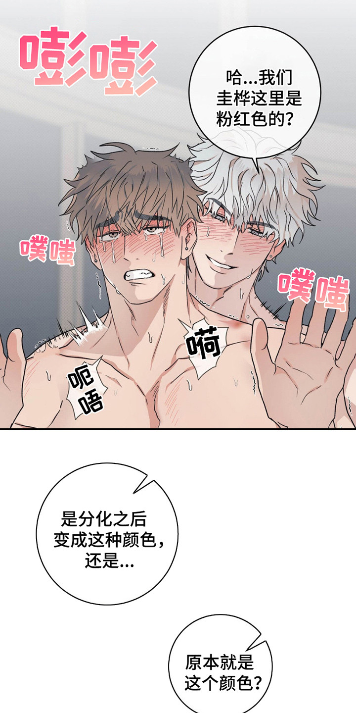 第8话：第8章：发火预览分镜