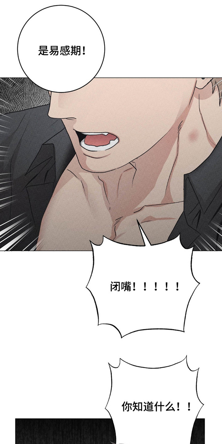 第11话：第11章：复查预览分镜