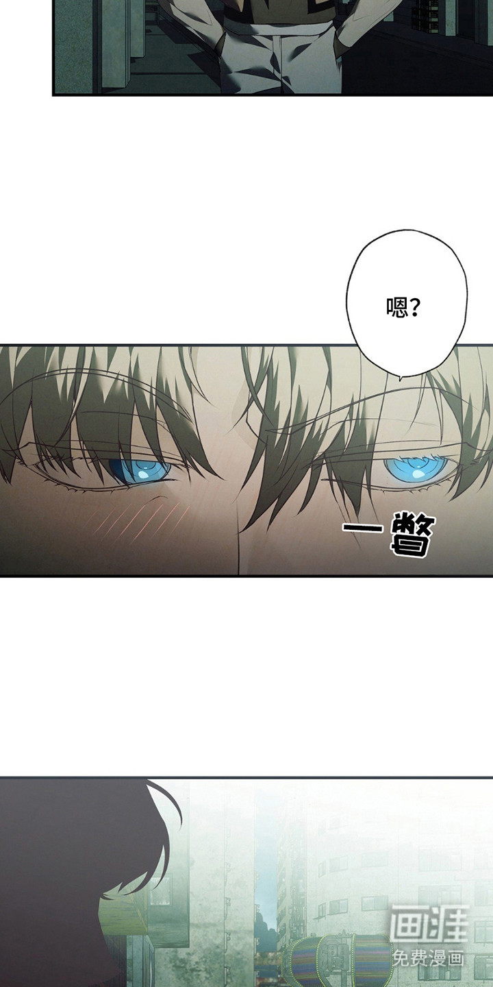 第5话：第5章：线索预览分镜