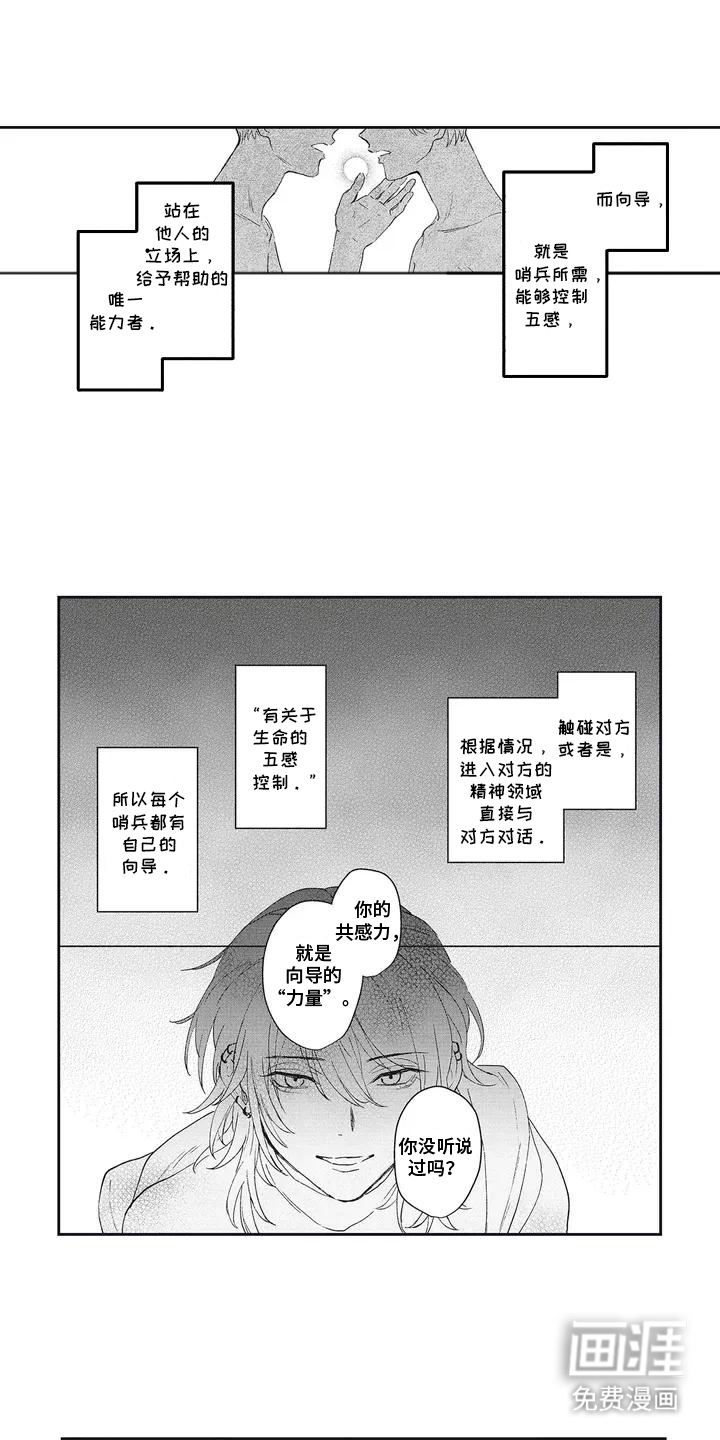 第3话：第3章：向导预览分镜