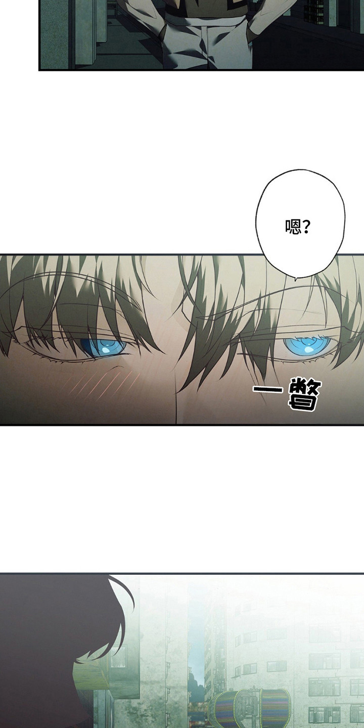 第5话：第5章：线索预览分镜
