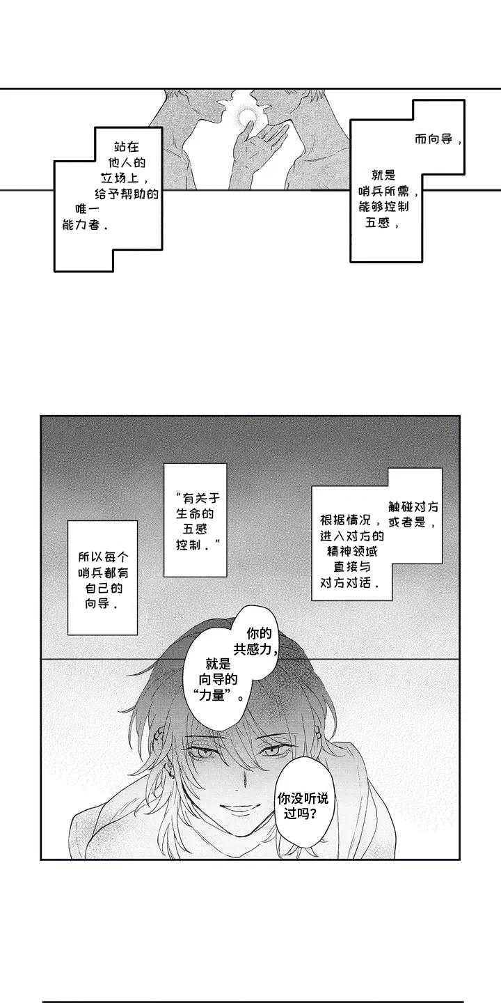第3话：第3章：向导预览分镜