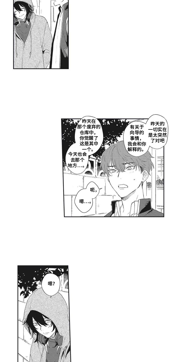 第6话：第6章：解释预览分镜
