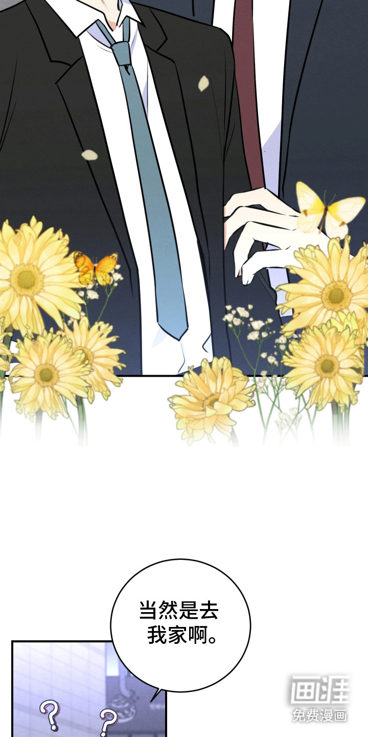 第4话：第4章：带他回家预览分镜