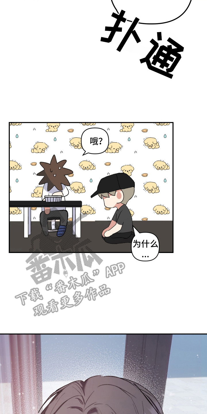 第28章:非常喜欢(完结)