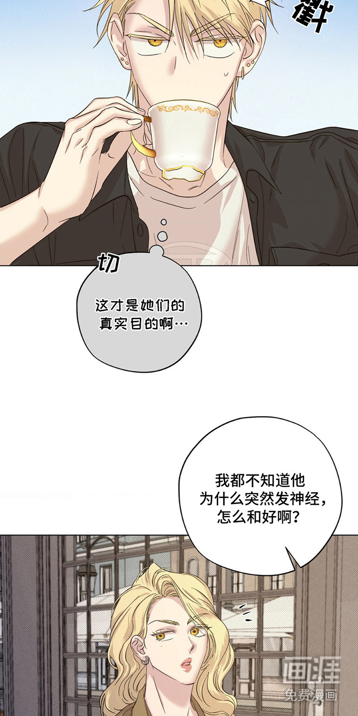 第13话：第13章：助攻预览分镜