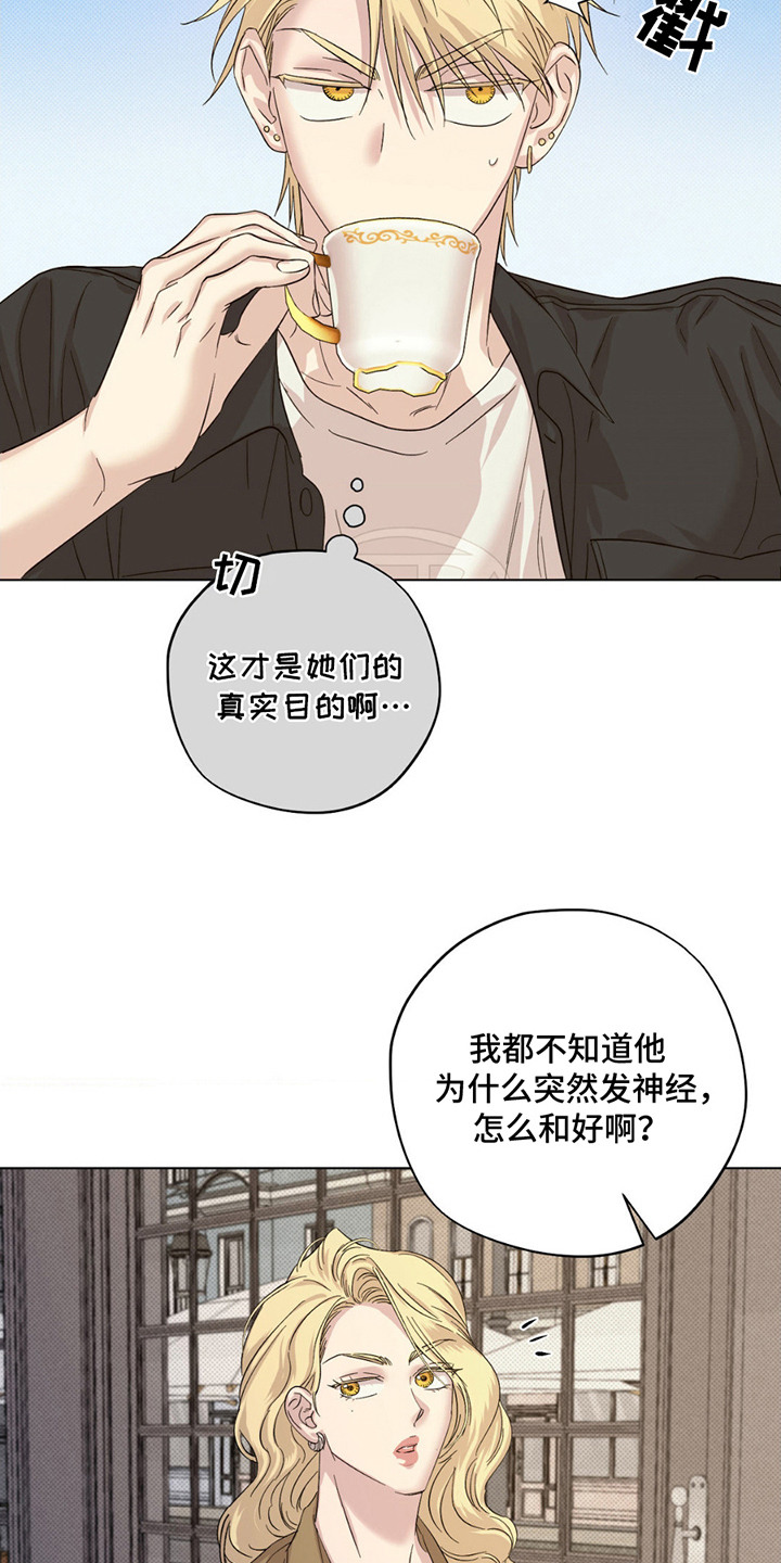 第13话：第13章：助攻预览分镜
