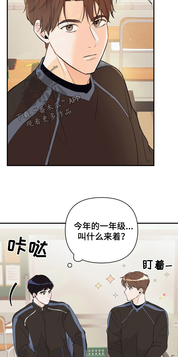 第15话：第15章：心痒痒的预览分镜