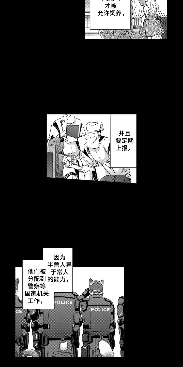 第2话：第2章：半兽人预览分镜