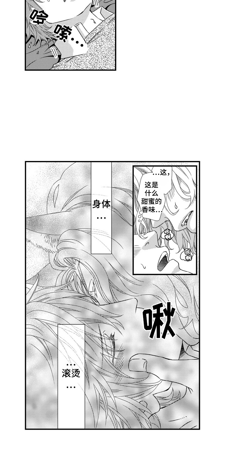 第18话：第18章：伴侣预览分镜