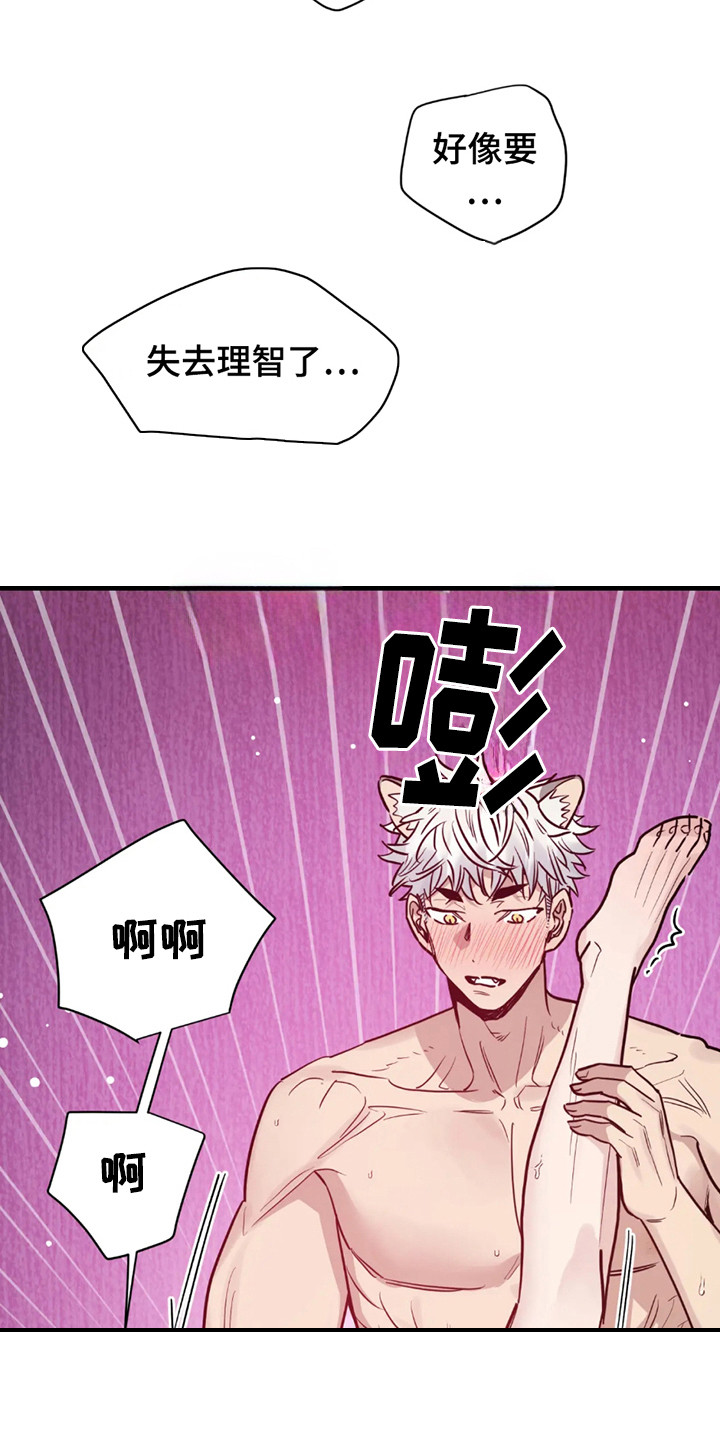 第7话：第7章：新任务（完结）预览分镜