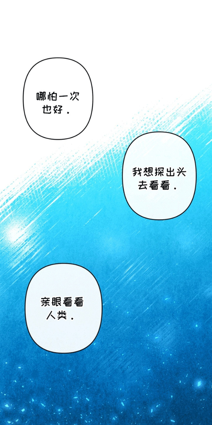 第4话：第4章：钓鱼预览分镜
