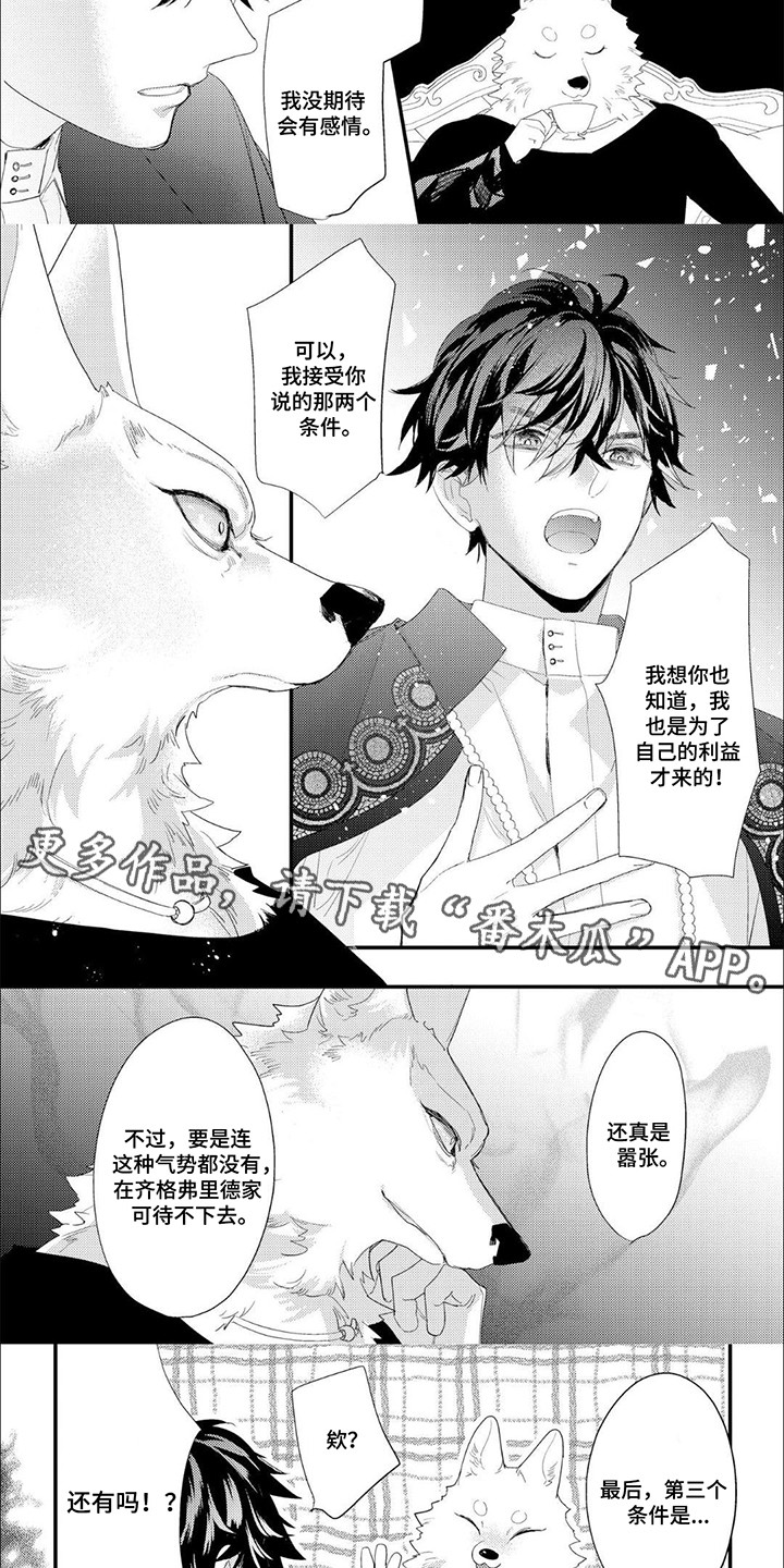 第4话：第4章：条件预览分镜