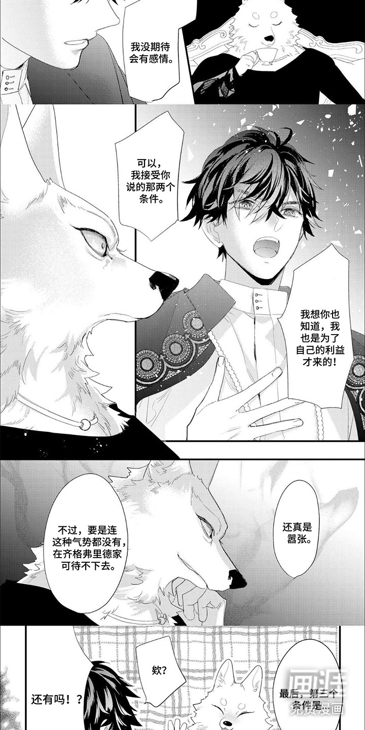 第4话：第4章：条件预览分镜