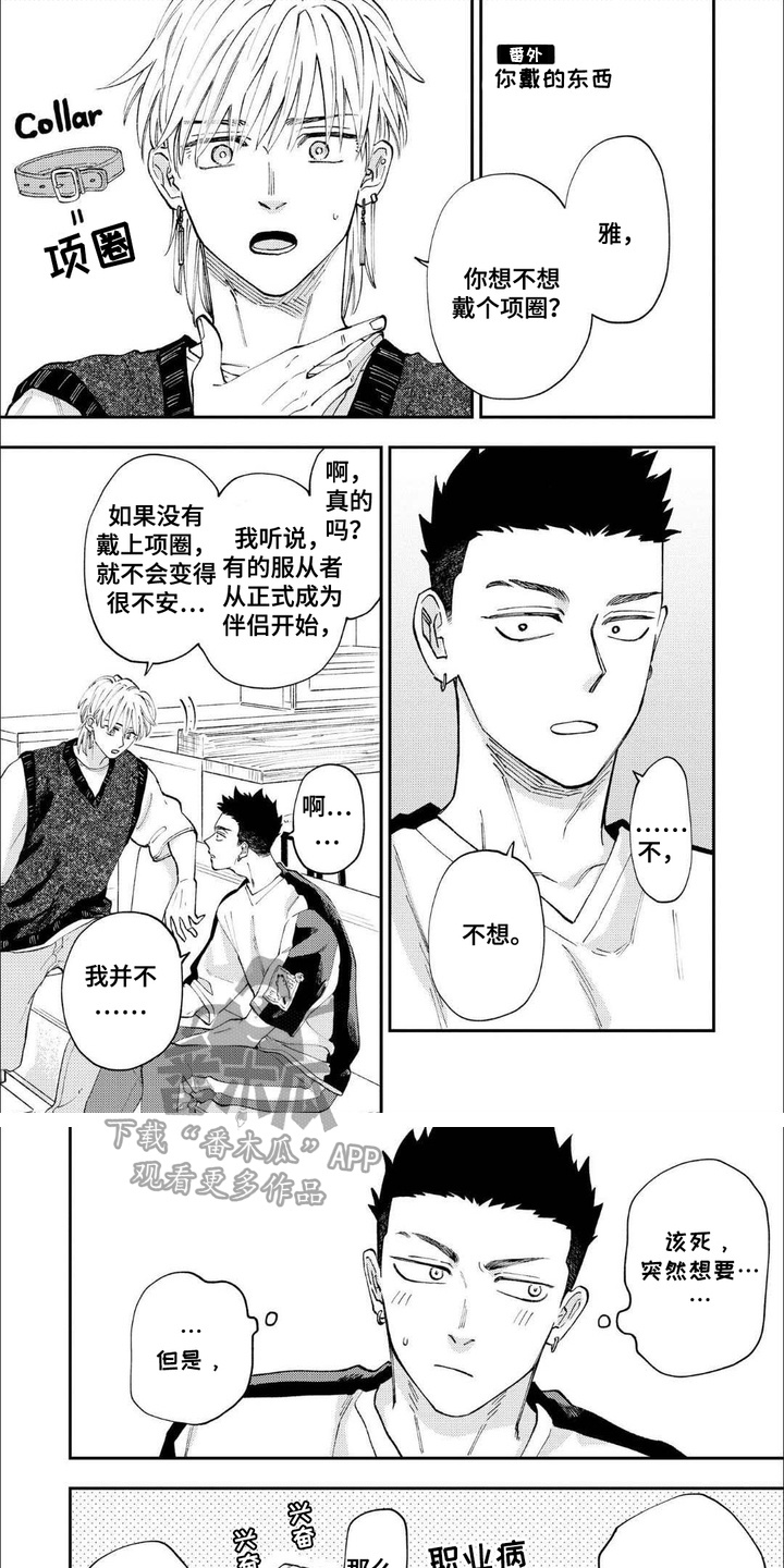 第17章:【番外】你戴的东西