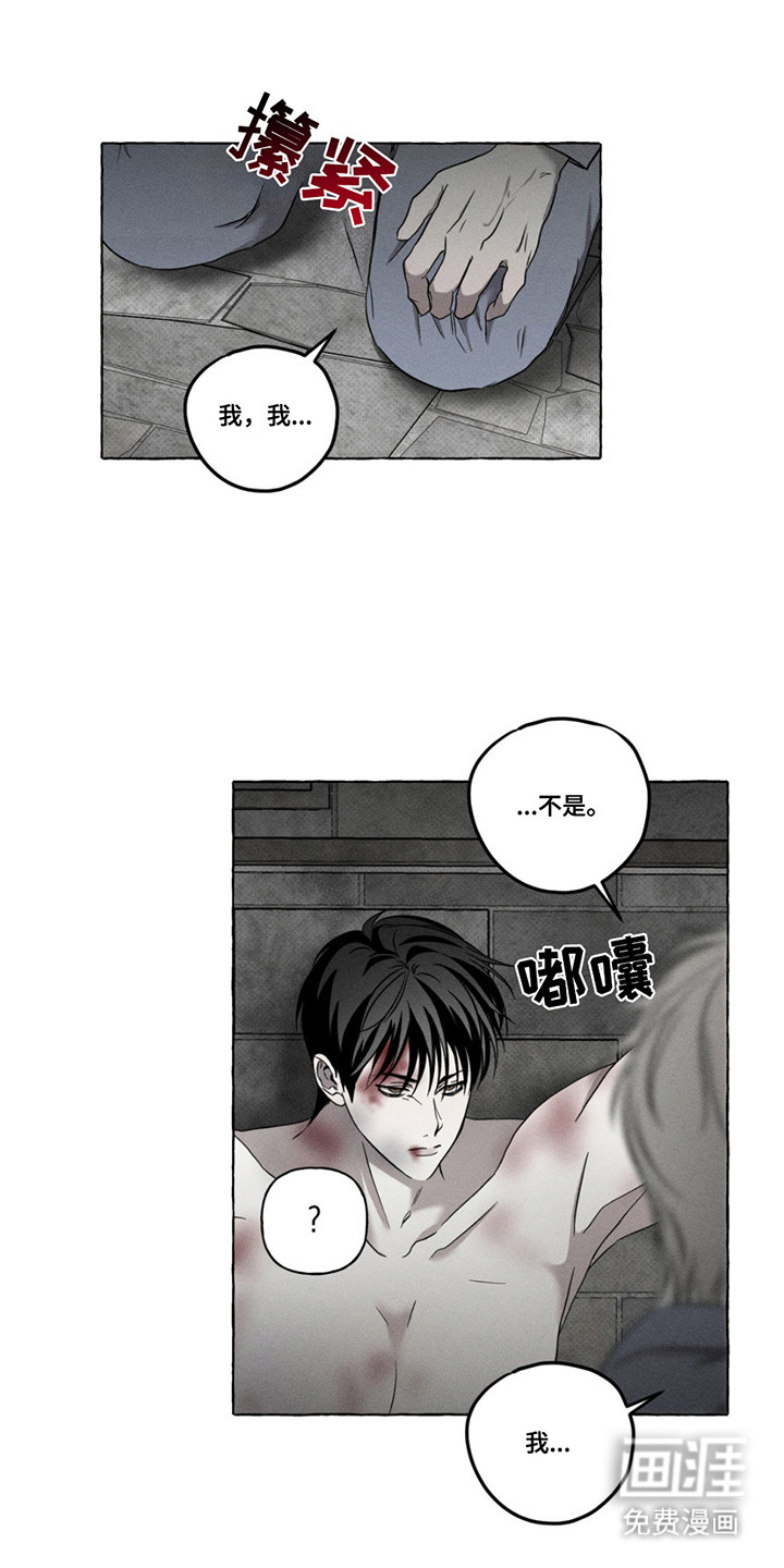 第6话：第6章：人人平等预览分镜