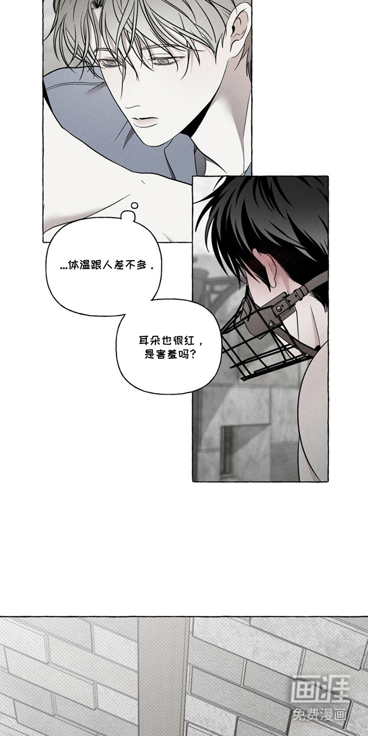 第8话：第8章：照顾预览分镜