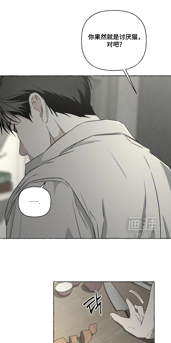 第81章:不可思议