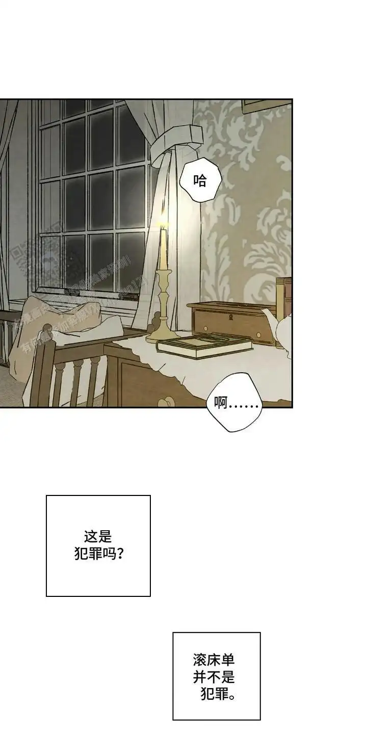 很有精力(完结)