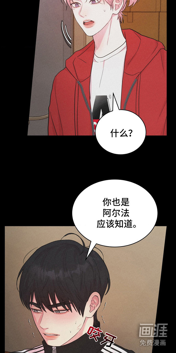 第14话：第14章：不对劲预览分镜