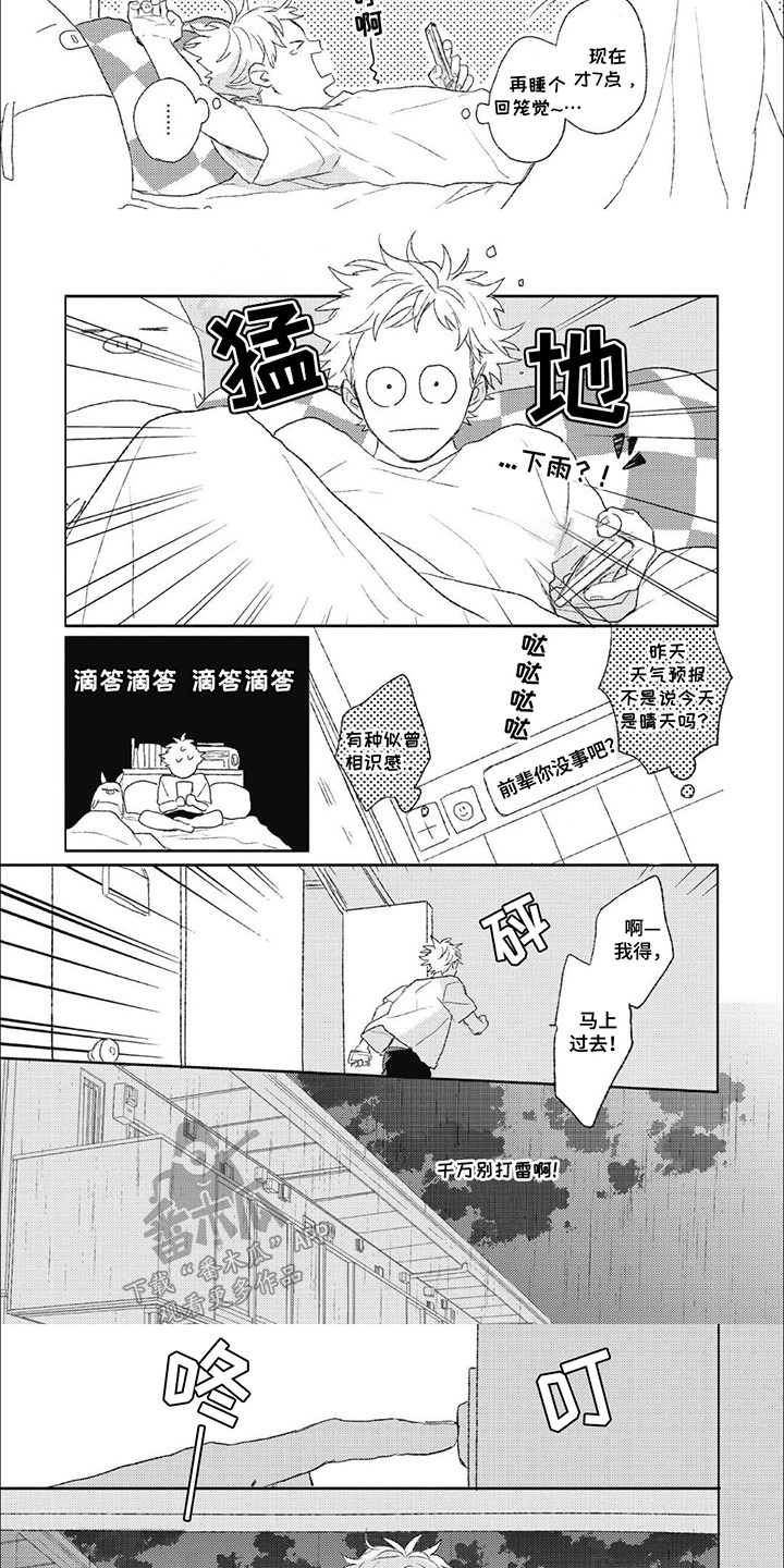 第11话：第11章：需要的东西预览分镜
