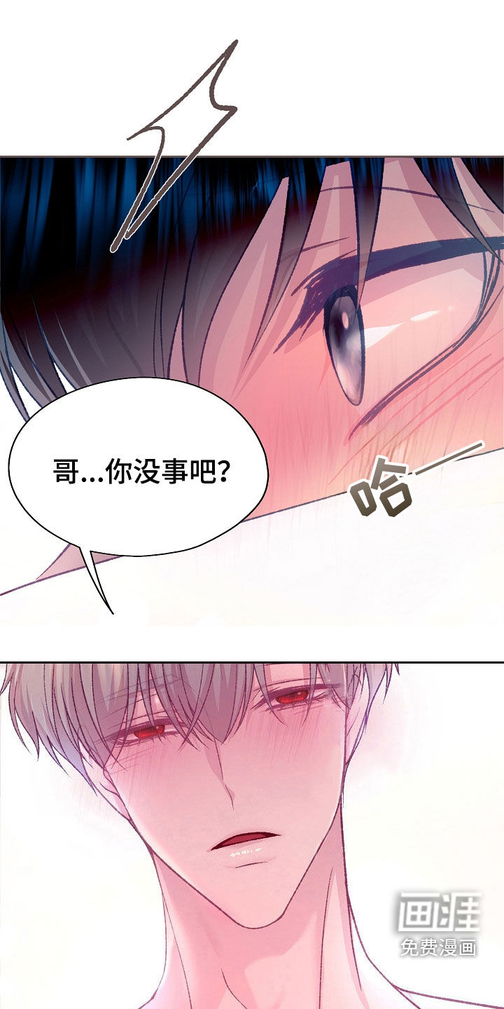 第53章:很喜欢你
