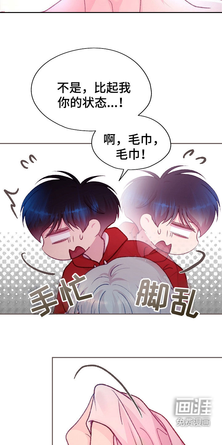 第53章:很喜欢你