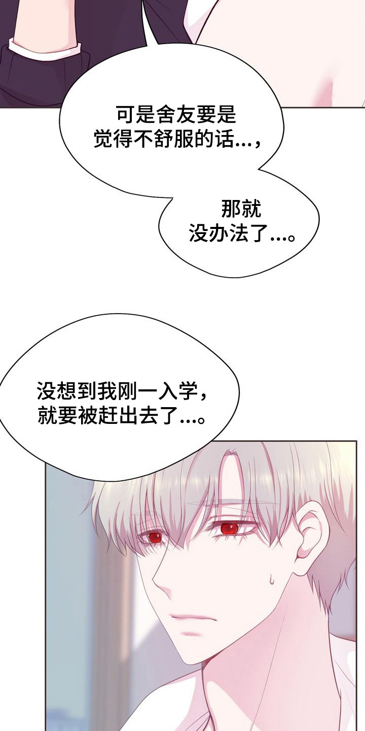 第4话：第4章：请多指教预览分镜