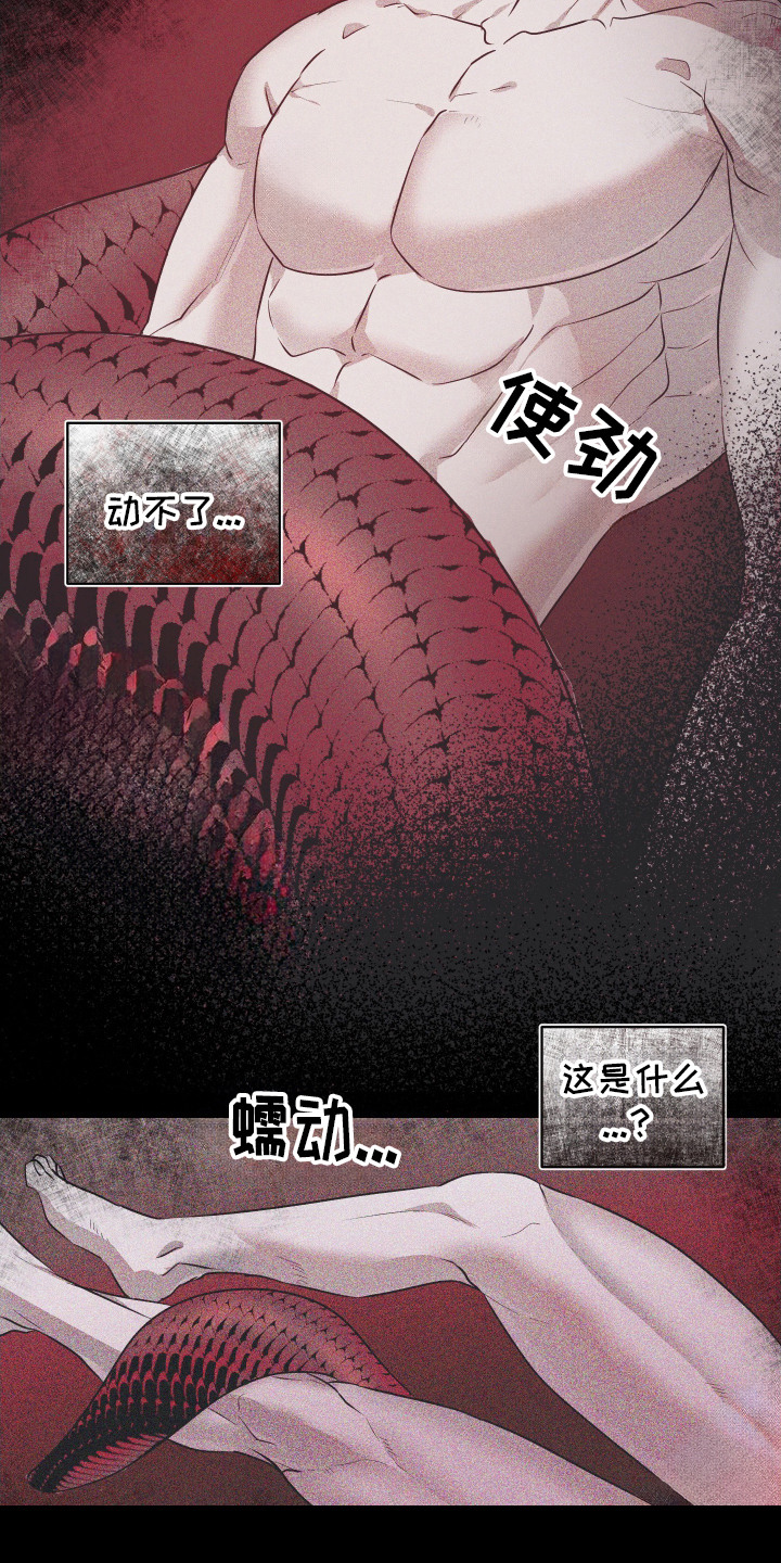 第1话：第1章：怪事预览分镜