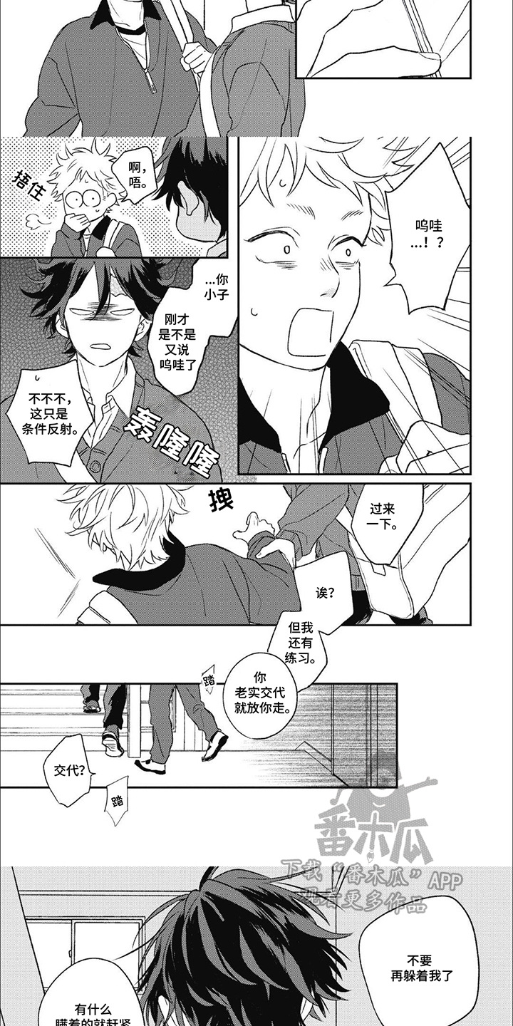 第8话：第8章：误会了预览分镜
