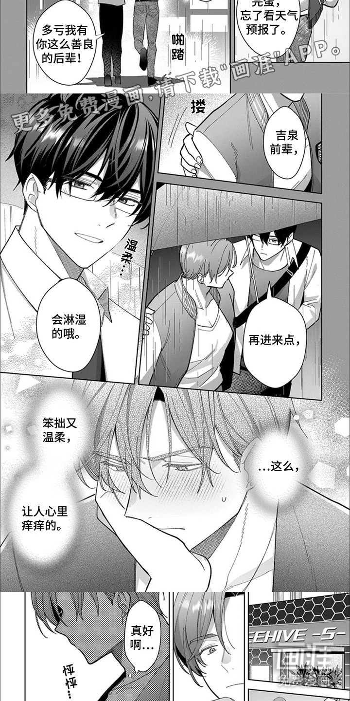 第8话：第8章：冷淡预览分镜
