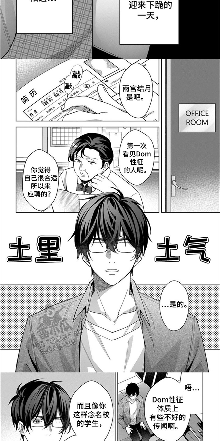 第1话：第1章：国王预览分镜