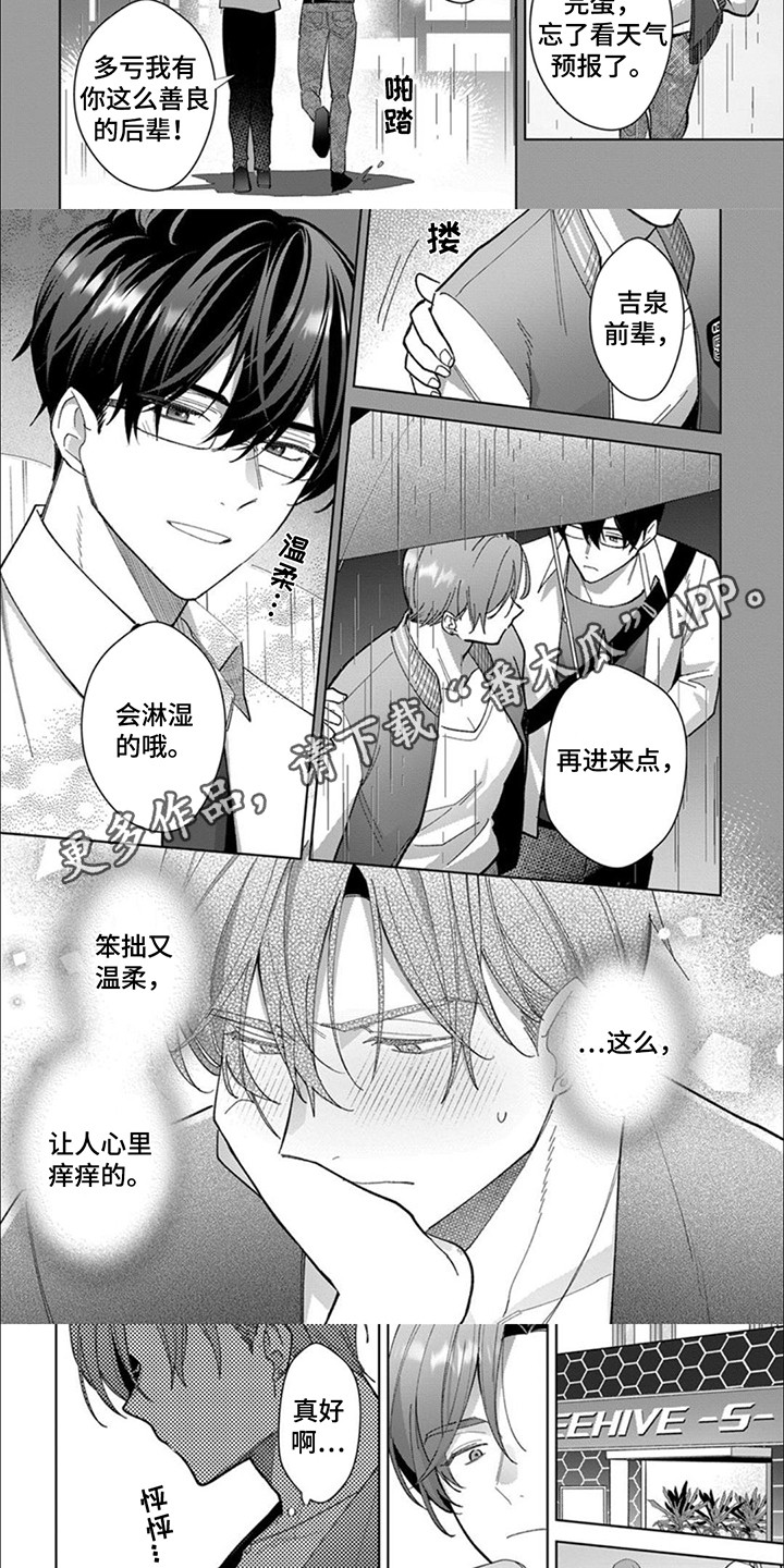 第9话：第9章：冷淡预览分镜